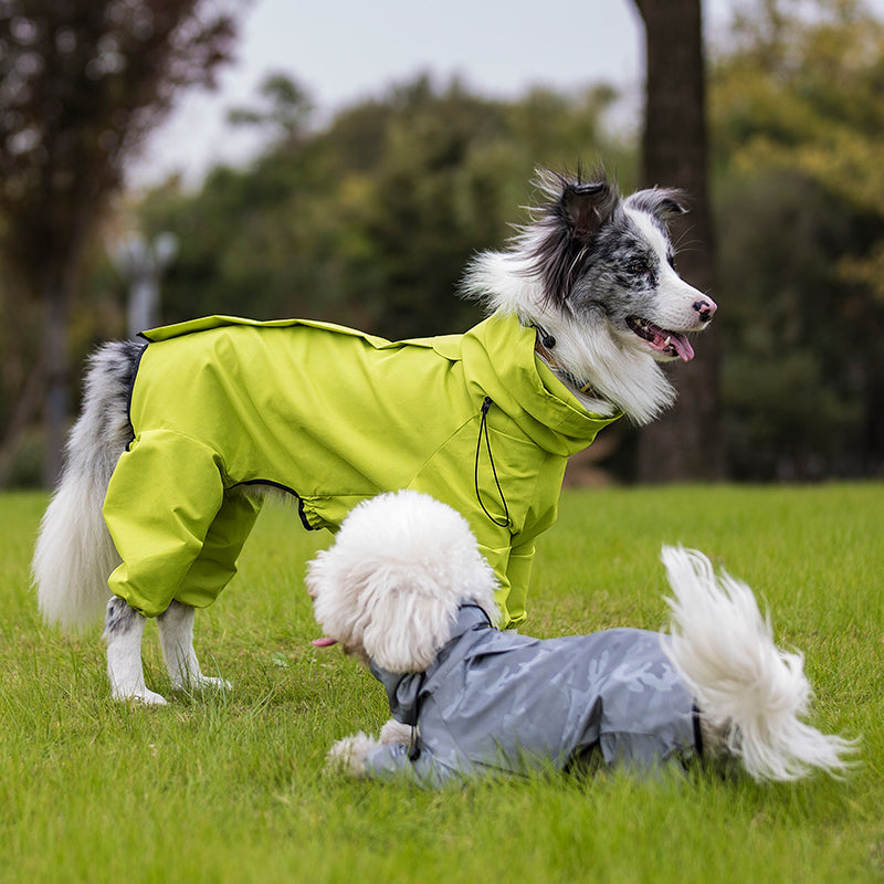 Dog Raincoat