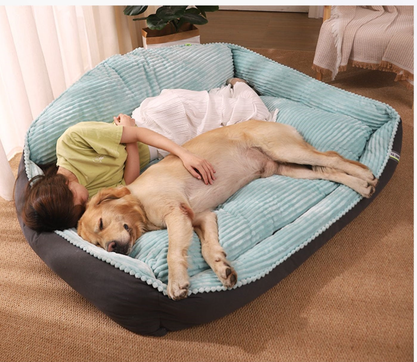 Luxury Pet Bed