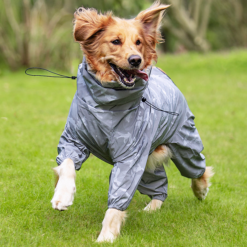 Dog Raincoat