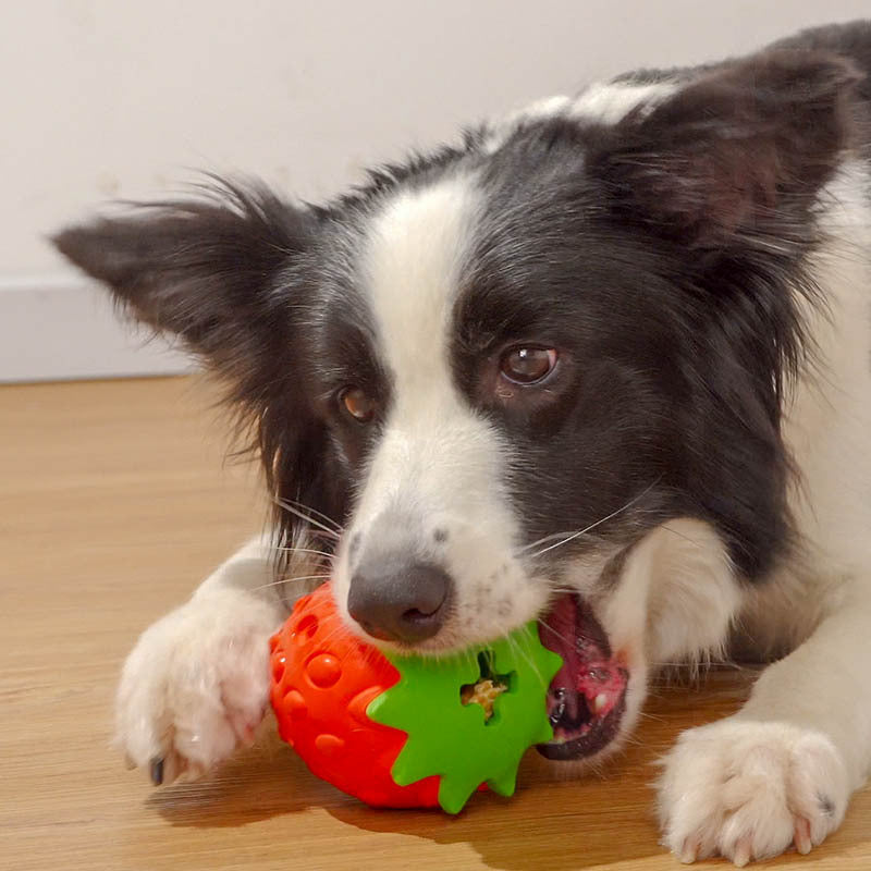 Tooth Cleaning Toy