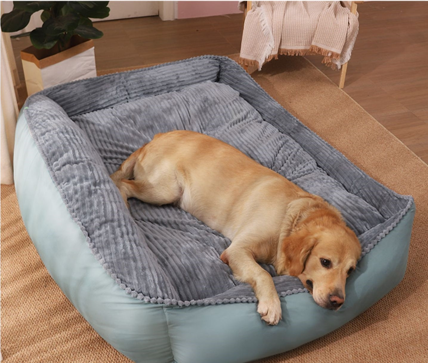 Luxury Pet Bed