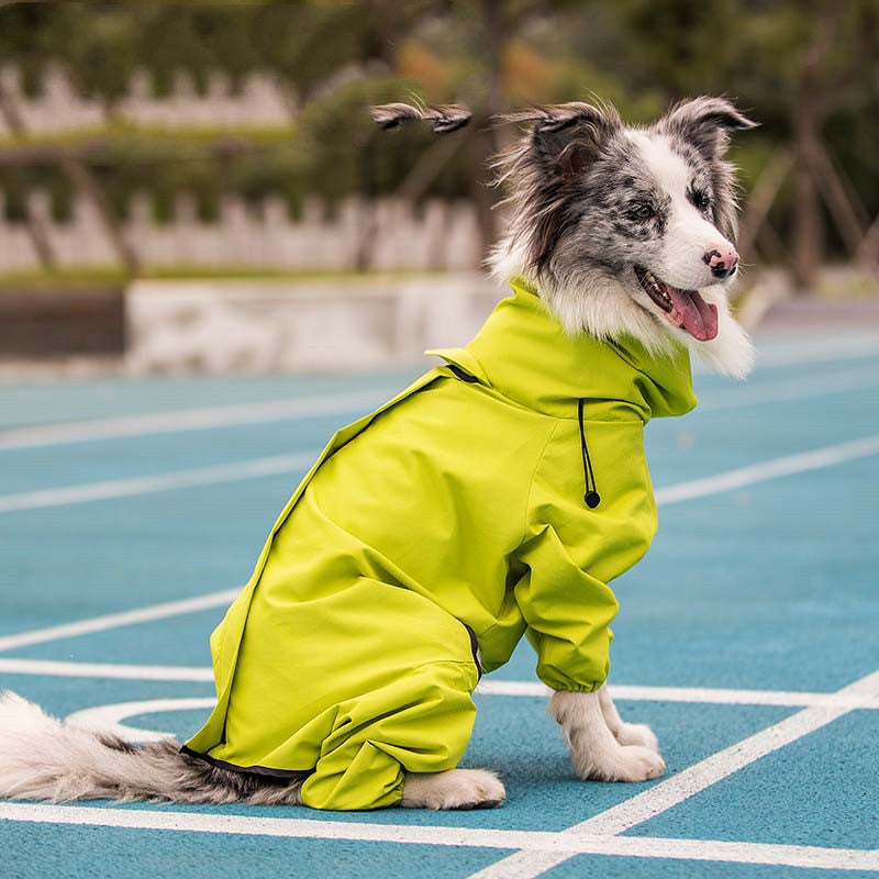 Dog Raincoat