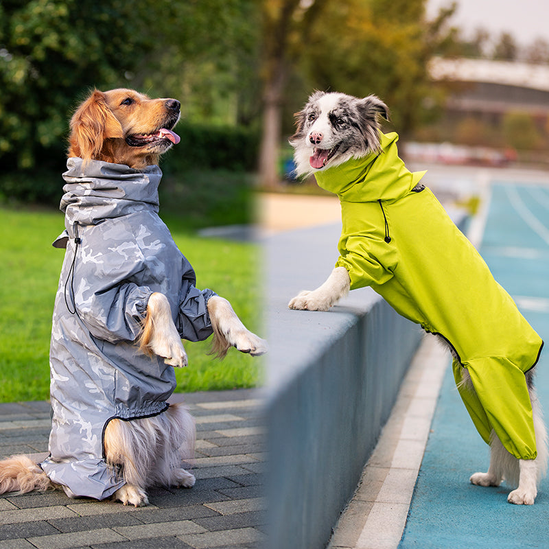 Dog Raincoat